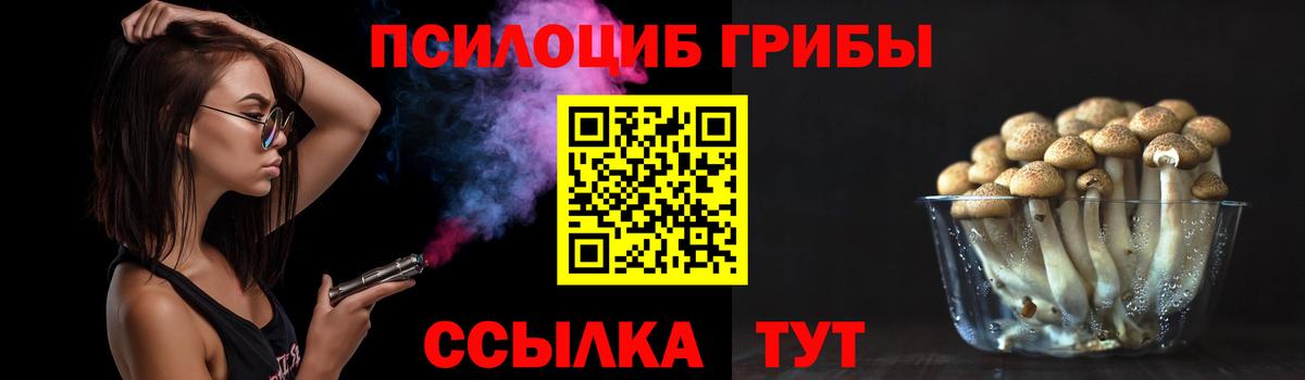 Переславль-Залесский  Галлюциногенные грибы MAGIC MUSHROOMS  Вход с VPN 